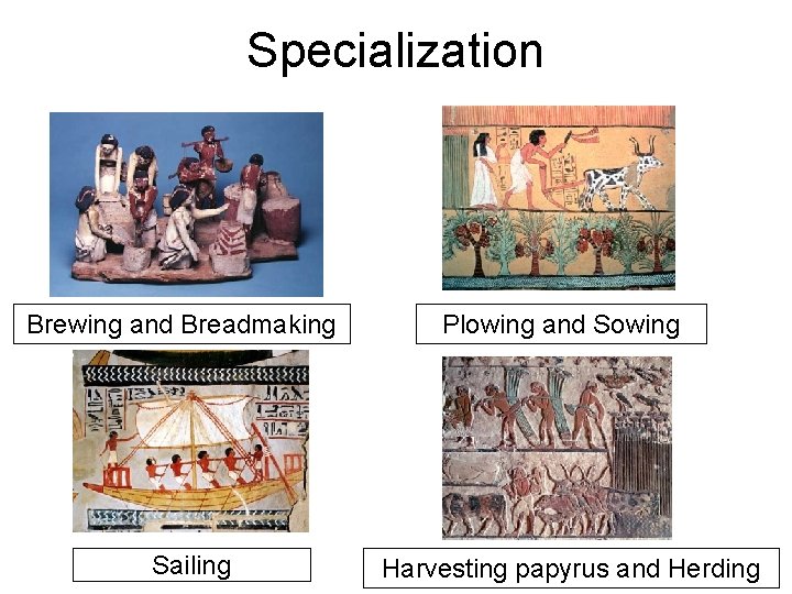 Specialization Brewing and Breadmaking Sailing Plowing and Sowing Harvesting papyrus and Herding 