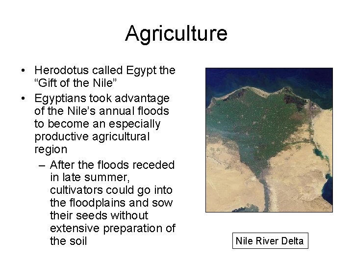 Agriculture • Herodotus called Egypt the “Gift of the Nile” • Egyptians took advantage