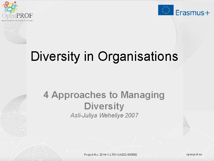 Diversity in Organisations 4 Approaches to Managing Diversity Asli-Juliya Weheliye 2007 Project No. 2014