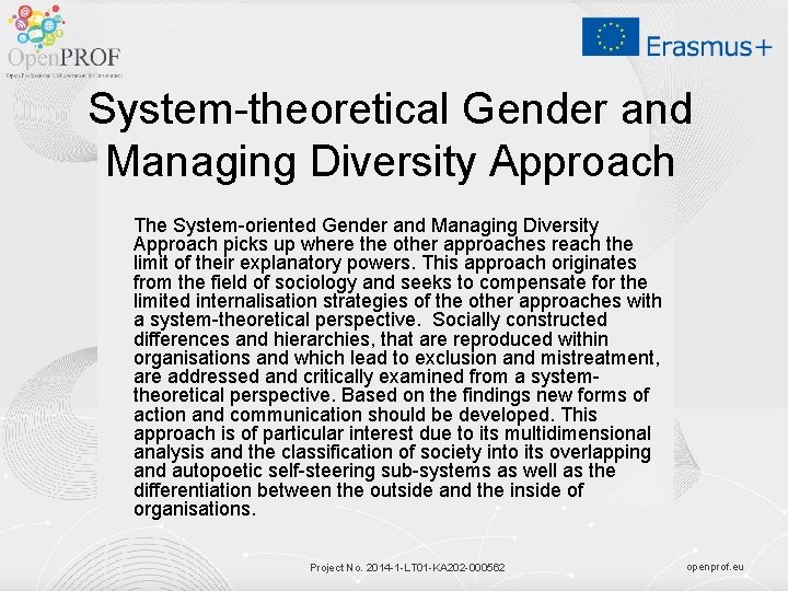 System-theoretical Gender and Managing Diversity Approach The System-oriented Gender and Managing Diversity Approach picks