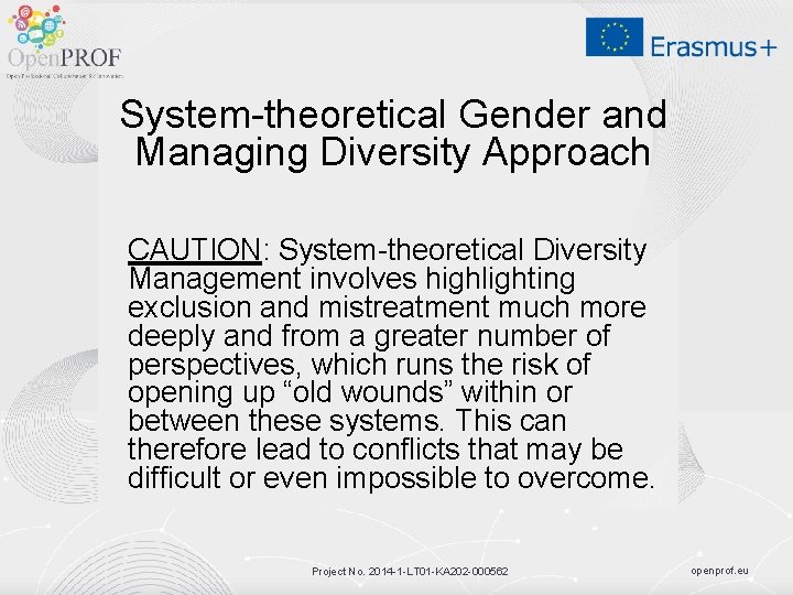 System-theoretical Gender and Managing Diversity Approach CAUTION: System-theoretical Diversity Management involves highlighting exclusion and