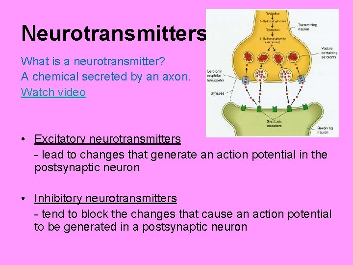 Neurotransmitters What is a neurotransmitter? A chemical secreted by an axon. Watch video •