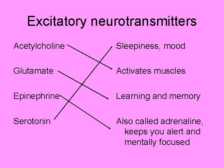 Excitatory neurotransmitters Acetylcholine Sleepiness, mood Glutamate Activates muscles Epinephrine Learning and memory Serotonin Also