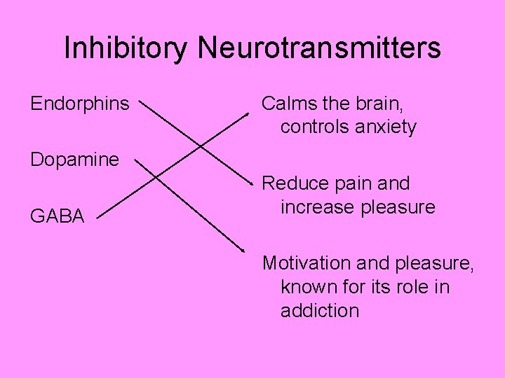 Inhibitory Neurotransmitters Endorphins Calms the brain, controls anxiety Dopamine GABA Reduce pain and increase