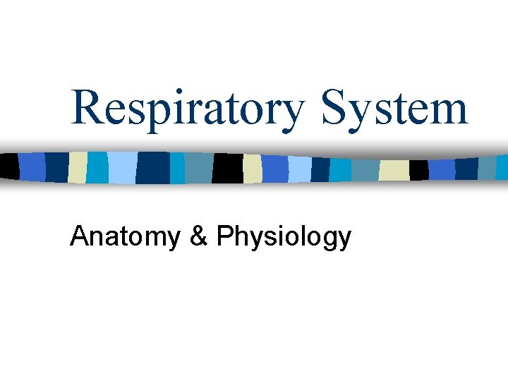 Respiratory System Anatomy & Physiology 