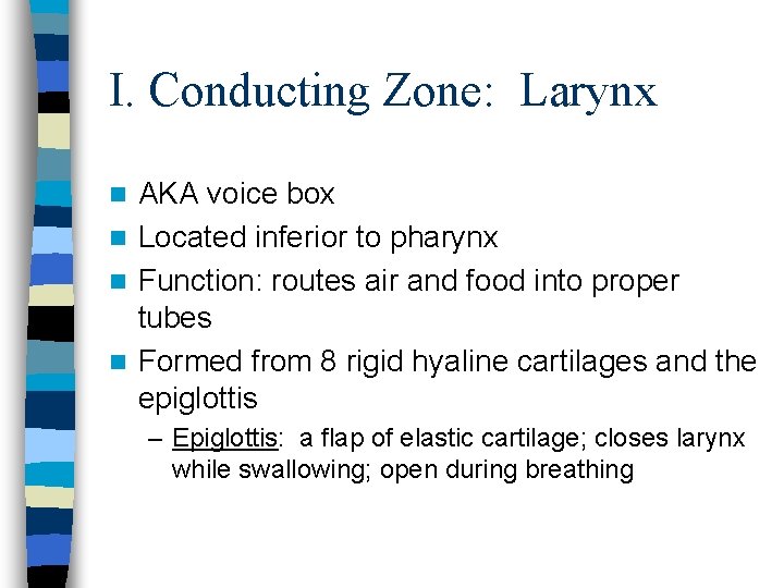 I. Conducting Zone: Larynx AKA voice box n Located inferior to pharynx n Function: I. Conducting Zone: Larynx AKA voice box n Located inferior to pharynx n Function: