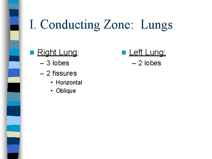 I. Conducting Zone: Lungs n Right Lung: – 3 lobes – 2 fissures • I. Conducting Zone: Lungs n Right Lung: – 3 lobes – 2 fissures •