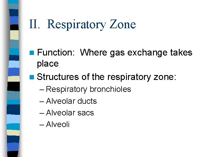 II. Respiratory Zone n Function: Where gas exchange takes place n Structures of the