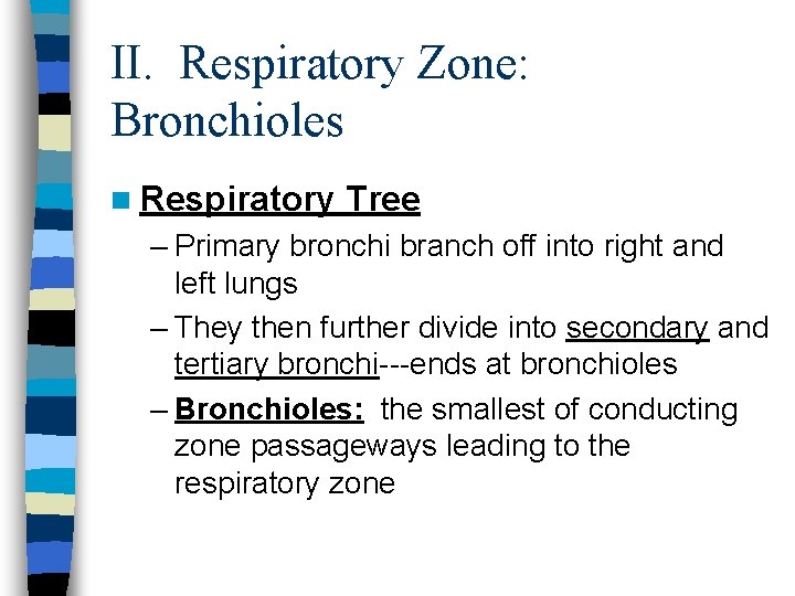 II. Respiratory Zone: Bronchioles n Respiratory Tree – Primary bronchi branch off into right