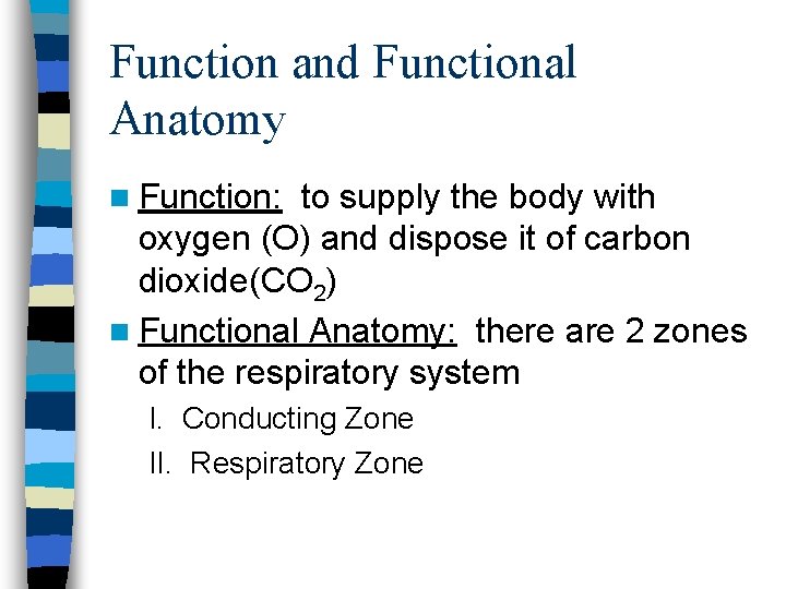 Function and Functional Anatomy n Function: to supply the body with oxygen (O) and