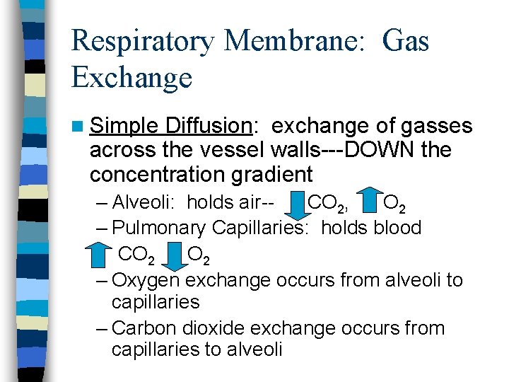 Respiratory Membrane: Gas Exchange n Simple Diffusion: exchange of gasses across the vessel walls---DOWN Respiratory Membrane: Gas Exchange n Simple Diffusion: exchange of gasses across the vessel walls---DOWN