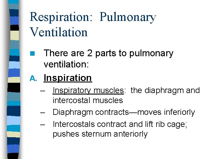 Respiration: Pulmonary Ventilation There are 2 parts to pulmonary ventilation: A. Inspiration n – Respiration: Pulmonary Ventilation There are 2 parts to pulmonary ventilation: A. Inspiration n –