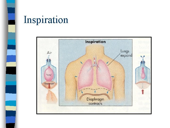 Inspiration Inspiration