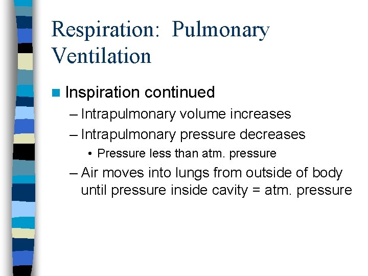 Respiration: Pulmonary Ventilation n Inspiration continued – Intrapulmonary volume increases – Intrapulmonary pressure decreases
