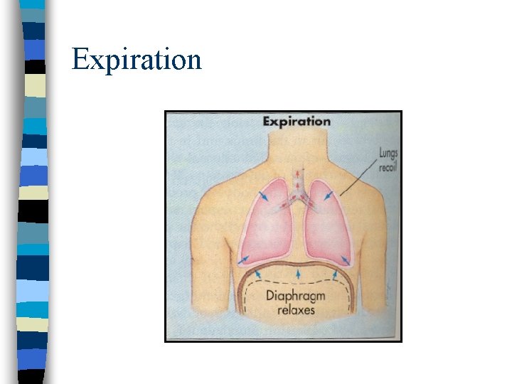 Expiration Expiration