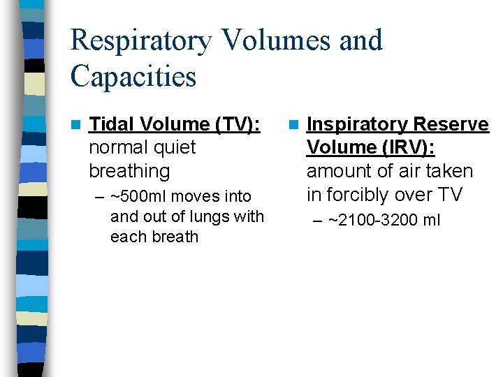 Respiratory Volumes and Capacities n Tidal Volume (TV): normal quiet breathing – ~500 ml Respiratory Volumes and Capacities n Tidal Volume (TV): normal quiet breathing – ~500 ml