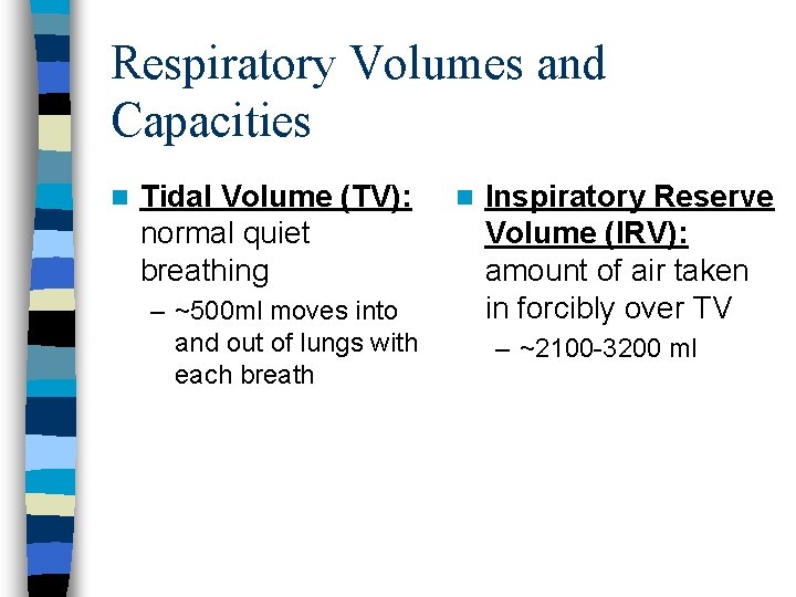 Respiratory Volumes and Capacities n Tidal Volume (TV): normal quiet breathing – ~500 ml