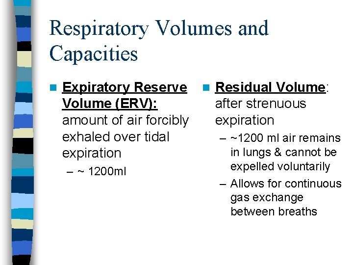 Respiratory Volumes and Capacities n Expiratory Reserve n Residual Volume: Volume (ERV): after strenuous Respiratory Volumes and Capacities n Expiratory Reserve n Residual Volume: Volume (ERV): after strenuous