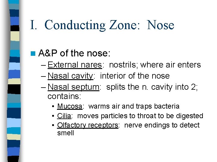 I. Conducting Zone: Nose n A&P of the nose: – External nares: nostrils; where I. Conducting Zone: Nose n A&P of the nose: – External nares: nostrils; where