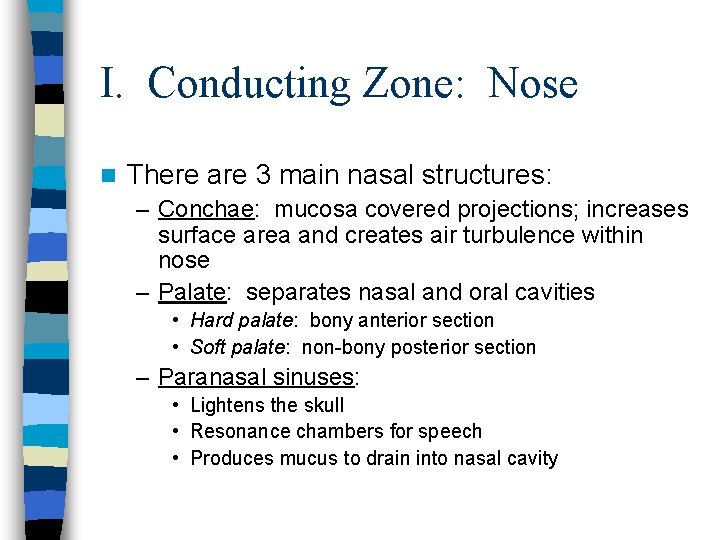 I. Conducting Zone: Nose n There are 3 main nasal structures: – Conchae: mucosa I. Conducting Zone: Nose n There are 3 main nasal structures: – Conchae: mucosa