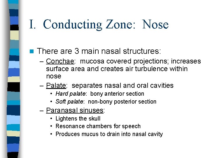 I. Conducting Zone: Nose n There are 3 main nasal structures: – Conchae: mucosa