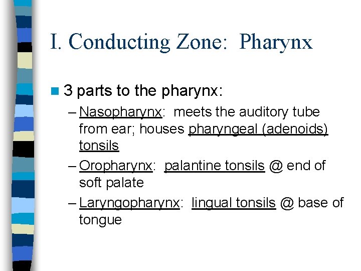 I. Conducting Zone: Pharynx n 3 parts to the pharynx: – Nasopharynx: meets the I. Conducting Zone: Pharynx n 3 parts to the pharynx: – Nasopharynx: meets the