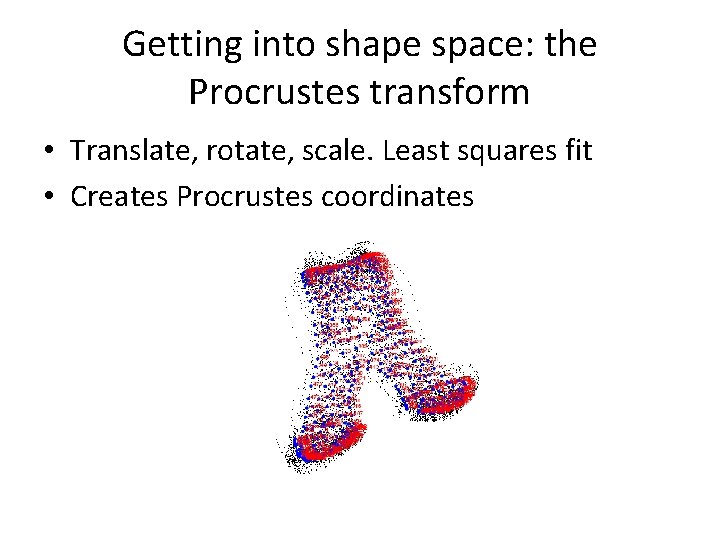 Getting into shape space: the Procrustes transform • Translate, rotate, scale. Least squares fit