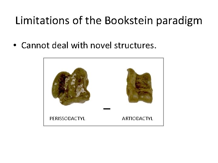 Limitations of the Bookstein paradigm • Cannot deal with novel structures. PERISSODACTYL ARTIODACTYL 