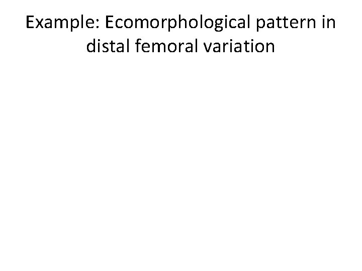 Example: Ecomorphological pattern in distal femoral variation 