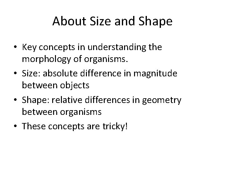 About Size and Shape • Key concepts in understanding the morphology of organisms. •