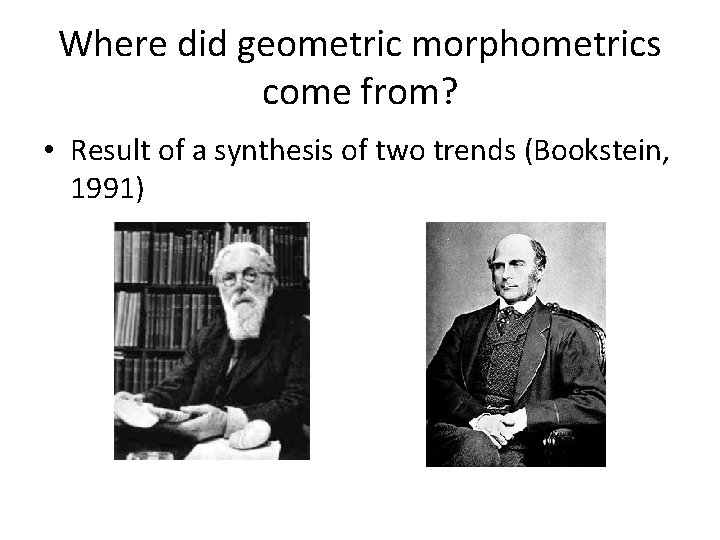 Where did geometric morphometrics come from? • Result of a synthesis of two trends