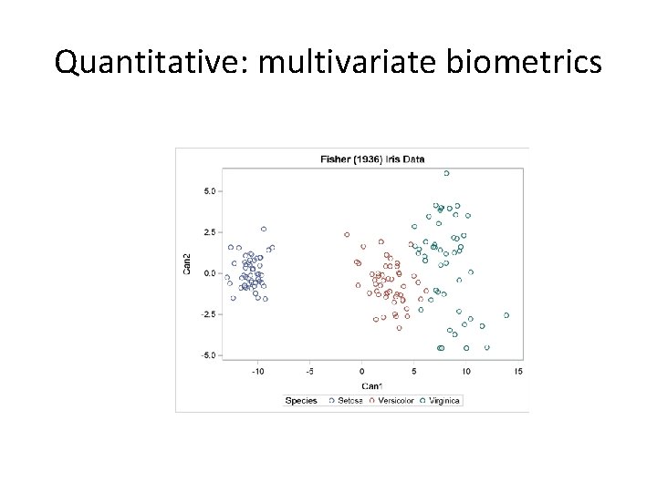 Quantitative: multivariate biometrics 