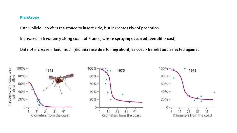 Pleiotropy Ester 1 allele: confers resistance to insecticide, but increases risk of predation. Increased