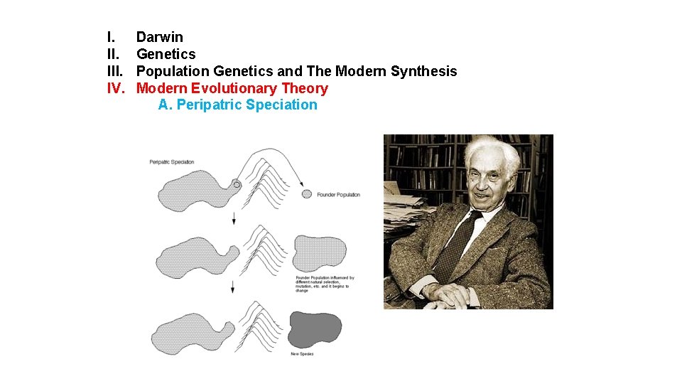 I. III. IV. Darwin Genetics Population Genetics and The Modern Synthesis Modern Evolutionary Theory