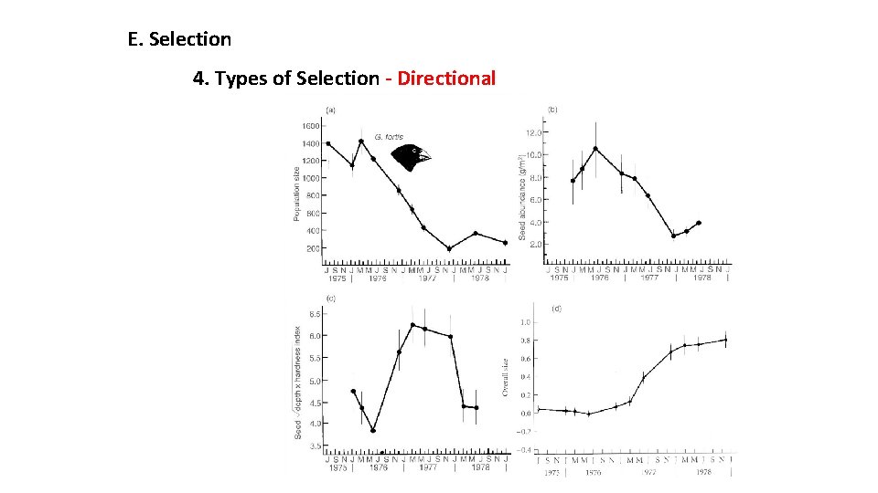 E. Selection 4. Types of Selection - Directional 