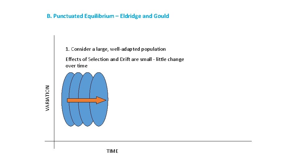 B. Punctuated Equilibrium – Eldridge and Gould 1. Consider a large, well-adapted population VARIATION
