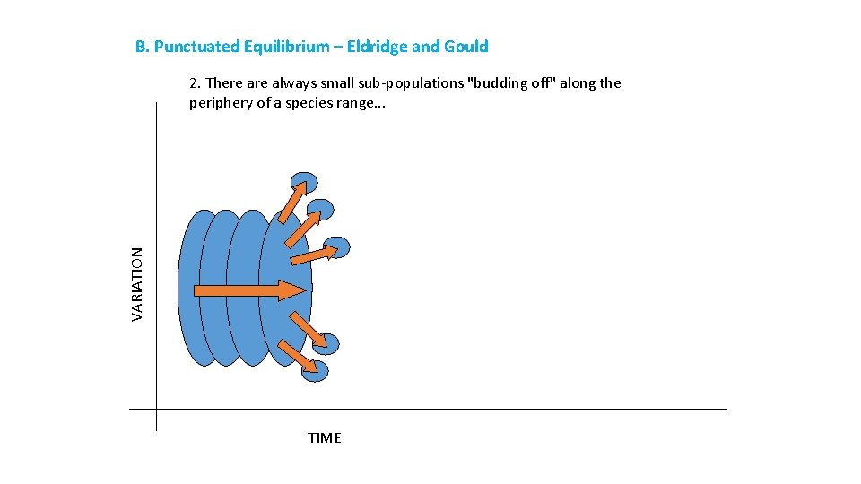 B. Punctuated Equilibrium – Eldridge and Gould VARIATION 2. There always small sub-populations "budding