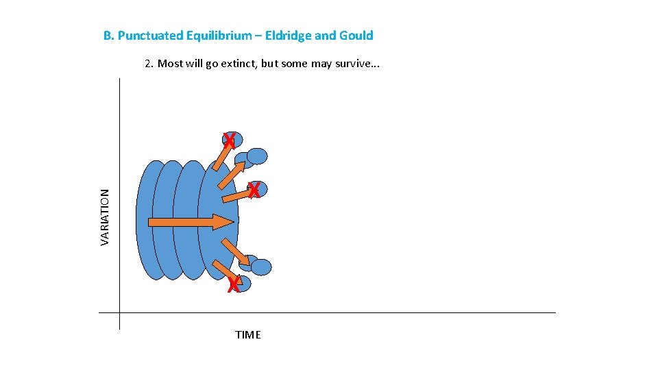 B. Punctuated Equilibrium – Eldridge and Gould 2. Most will go extinct, but some