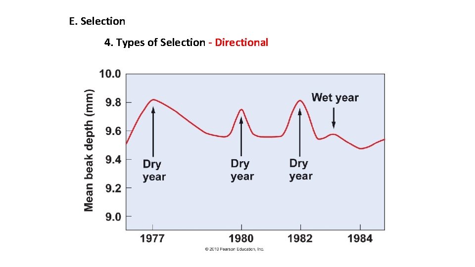 E. Selection 4. Types of Selection - Directional 