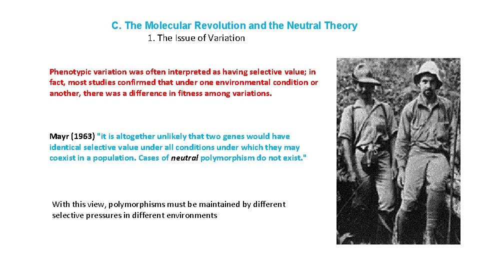 C. The Molecular Revolution and the Neutral Theory 1. The Issue of Variation Phenotypic