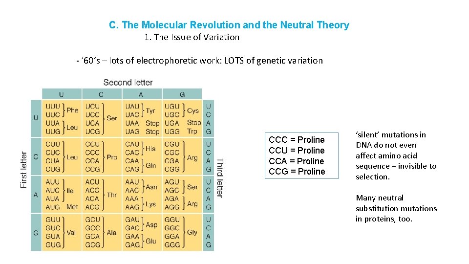 C. The Molecular Revolution and the Neutral Theory 1. The Issue of Variation -