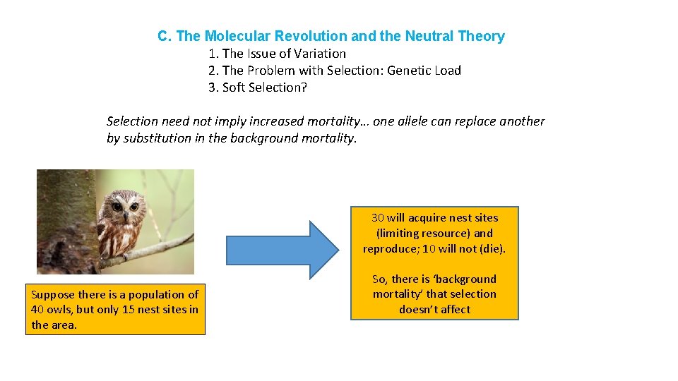 C. The Molecular Revolution and the Neutral Theory 1. The Issue of Variation 2.