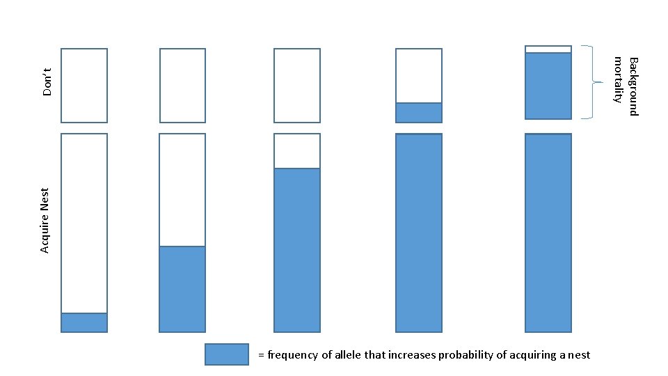 Acquire Nest Don’t Background mortality = frequency of allele that increases probability of acquiring