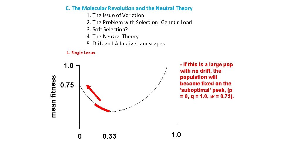 C. The Molecular Revolution and the Neutral Theory 1. The Issue of Variation 2.