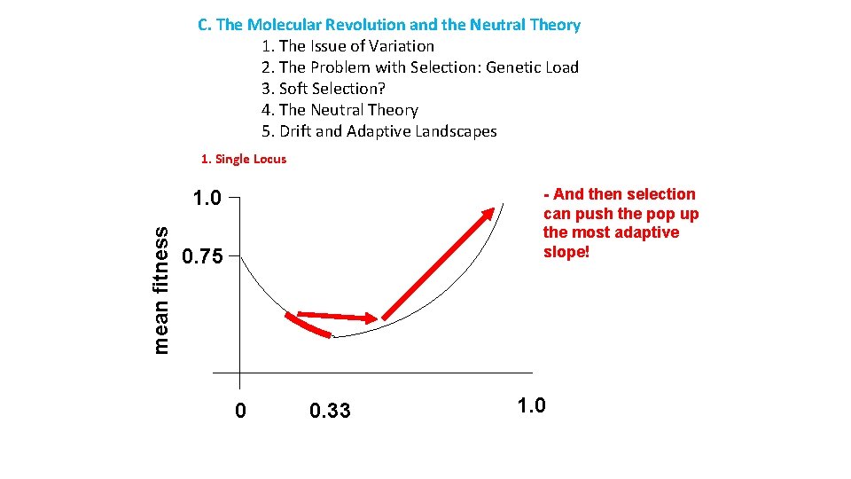 C. The Molecular Revolution and the Neutral Theory 1. The Issue of Variation 2.