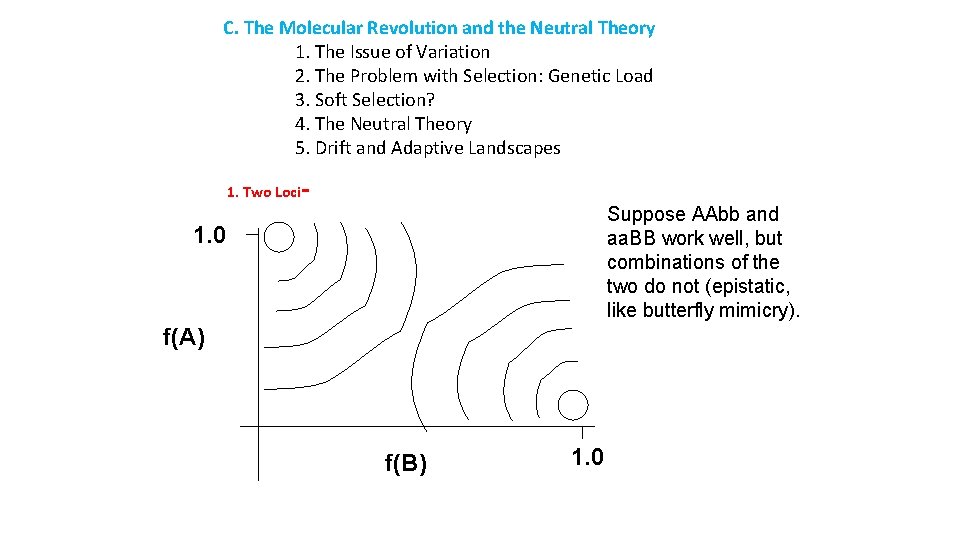 C. The Molecular Revolution and the Neutral Theory 1. The Issue of Variation 2.