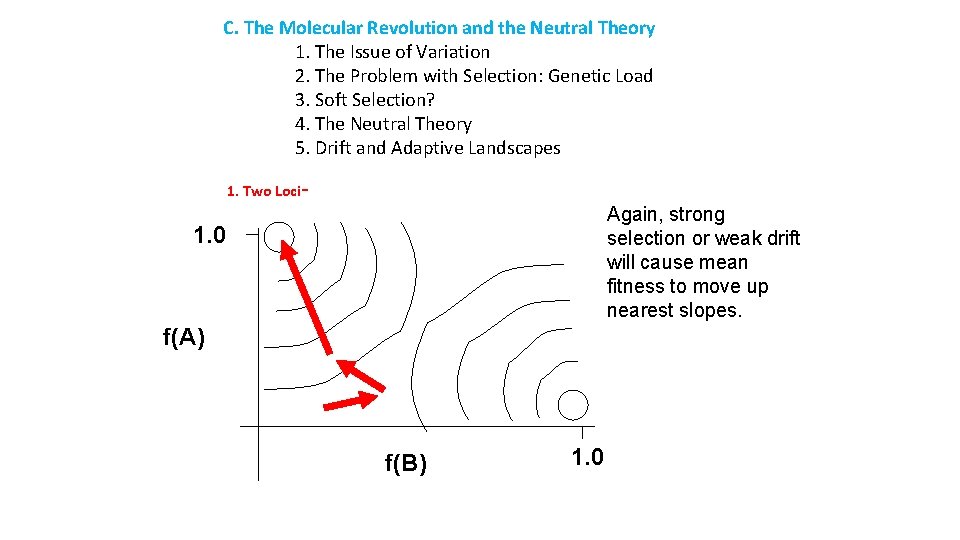 C. The Molecular Revolution and the Neutral Theory 1. The Issue of Variation 2.