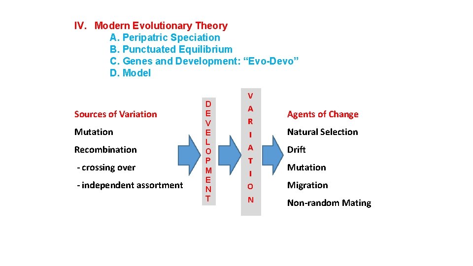 IV. Modern Evolutionary Theory A. Peripatric Speciation B. Punctuated Equilibrium C. Genes and Development: