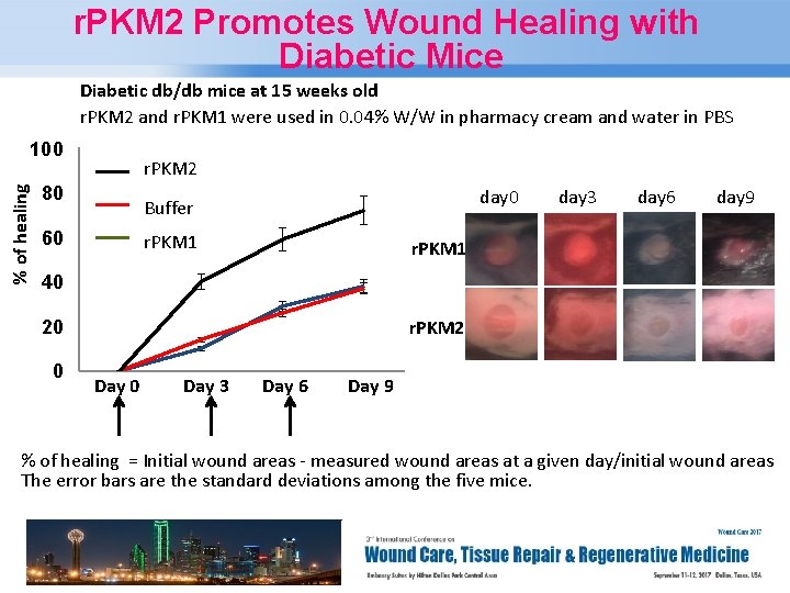 r. PKM 2 Promotes Wound Healing with Diabetic Mice Diabetic db/db mice at 15