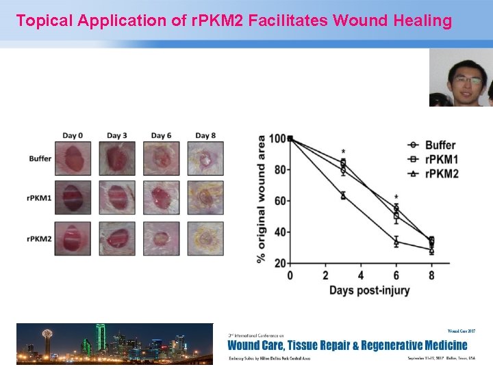 Topical Application of r. PKM 2 Facilitates Wound Healing Page 8 